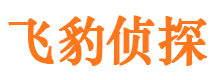 微山侦探公司